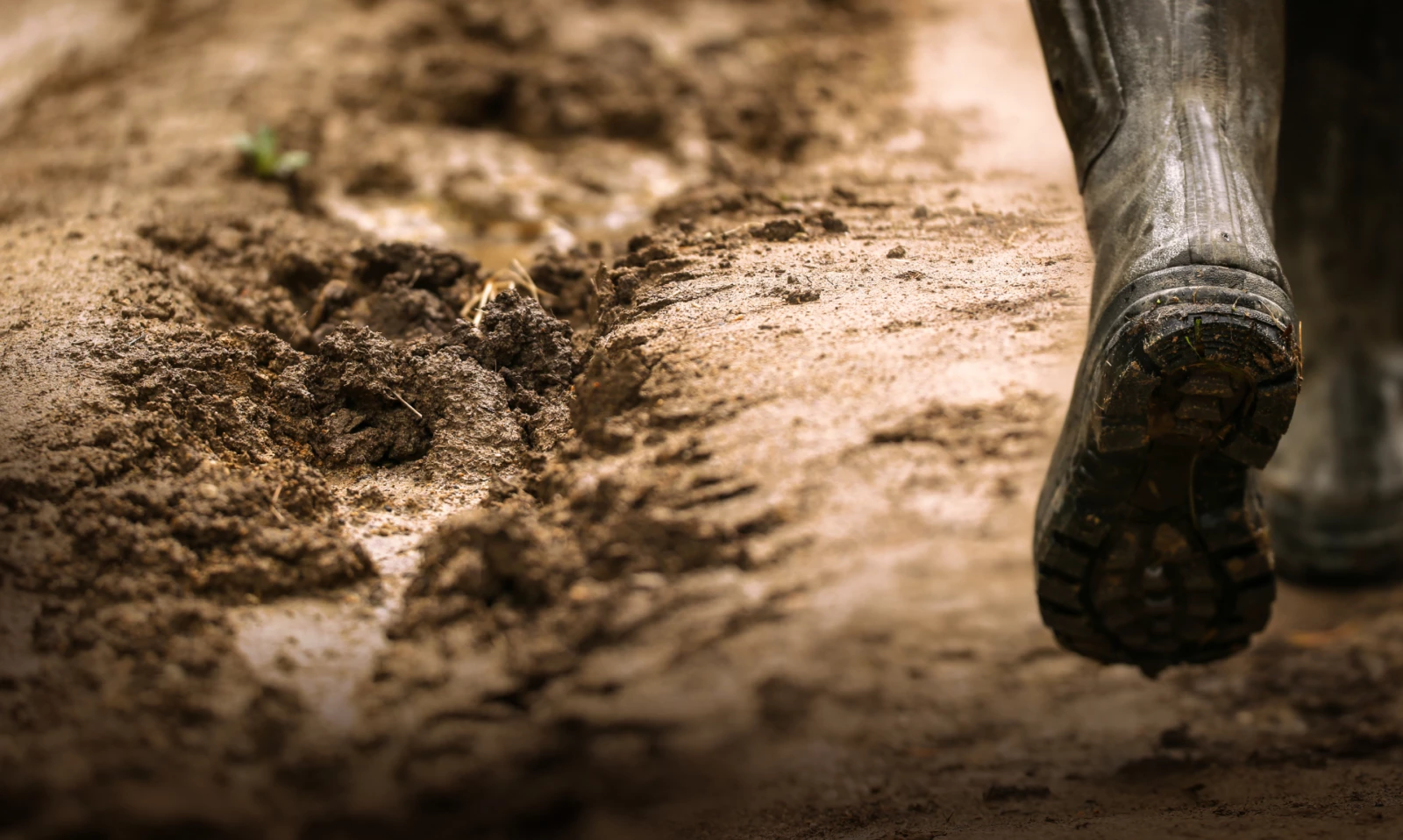 Property insurance coverage for Canadian farmers and brokers.