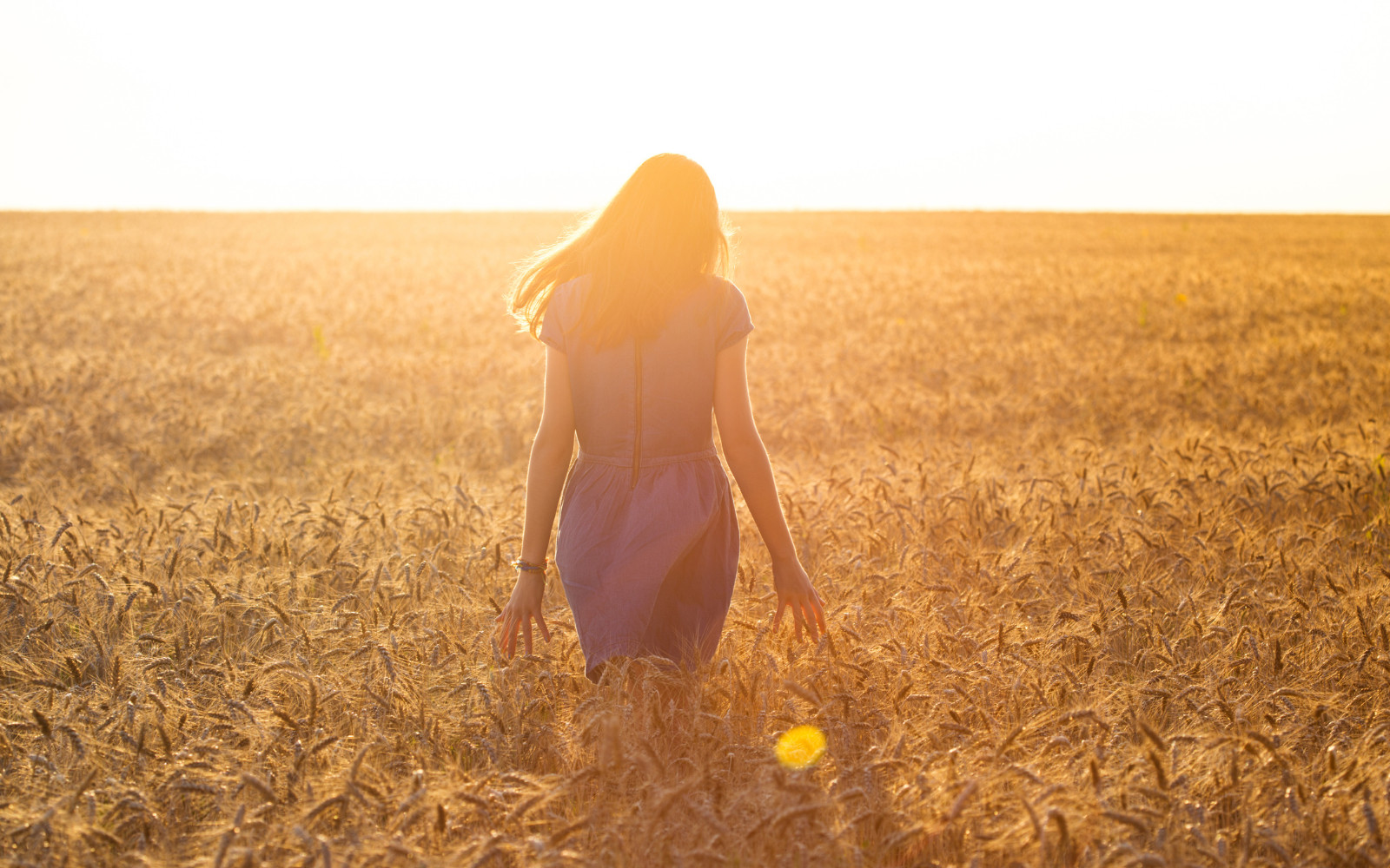 TraumaSupport Wellness Insurance
